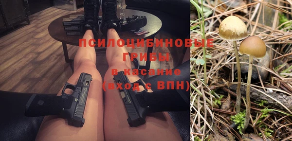 apvp Мегион