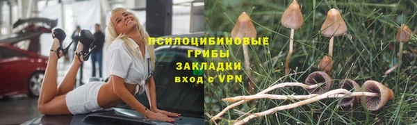 а пвп мука Медвежьегорск