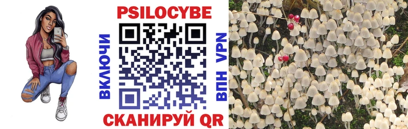 Галлюциногенные грибы Psilocybe  Купить закладки  Балахна 