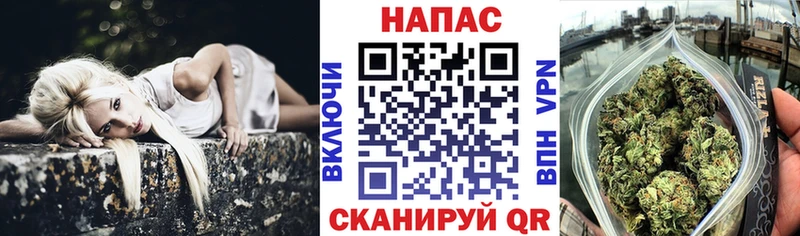 Купить где  Балахна  Конопля индика 